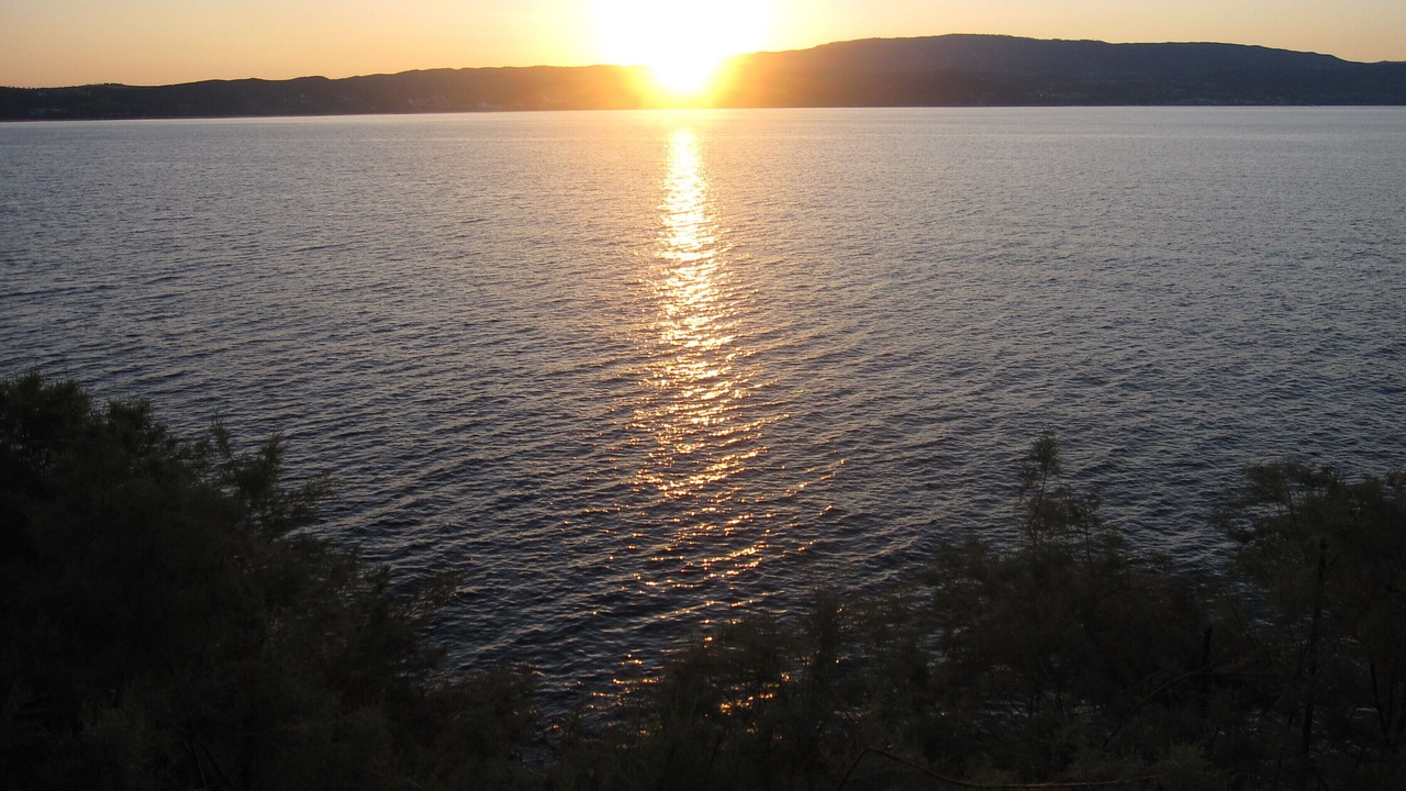 Photo of Others in Aristotelis