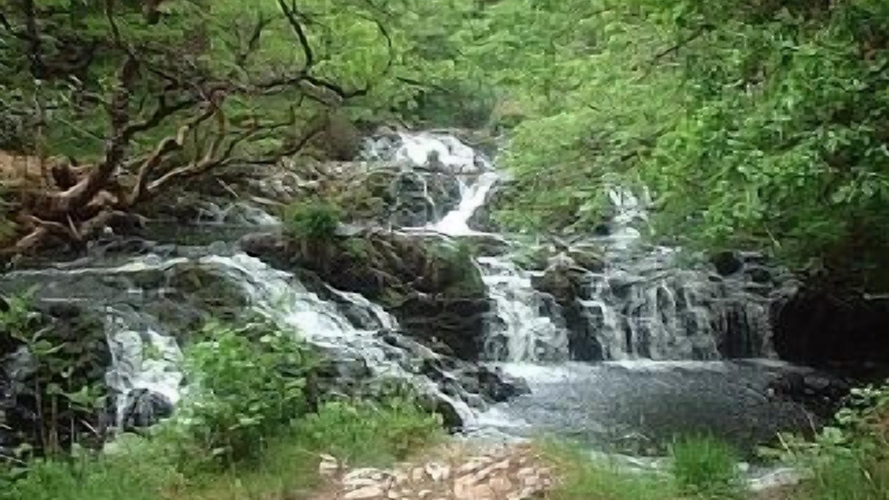 Photo of Others in Taynuilt