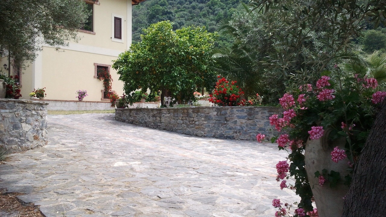 Photo of Outdoor in Piraino