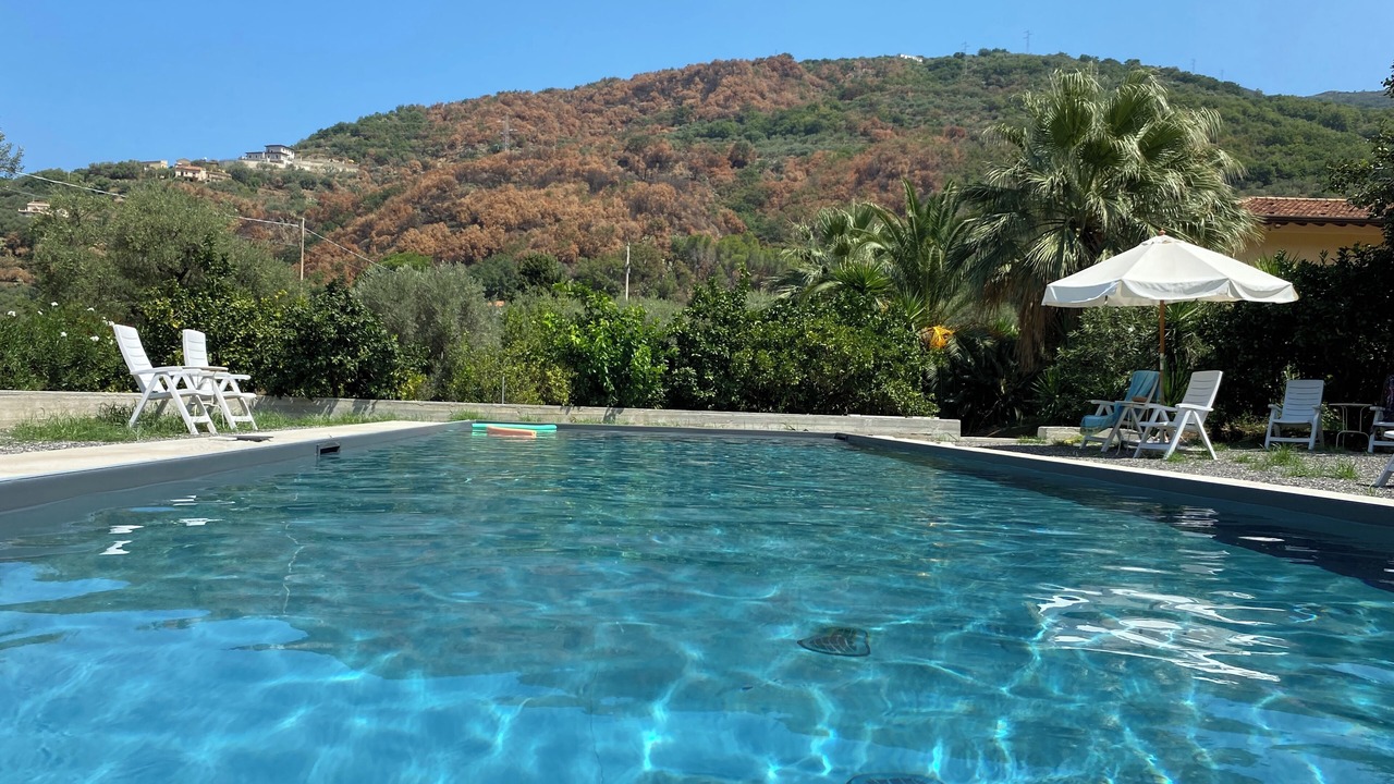 Photo of Outdoor in Piraino