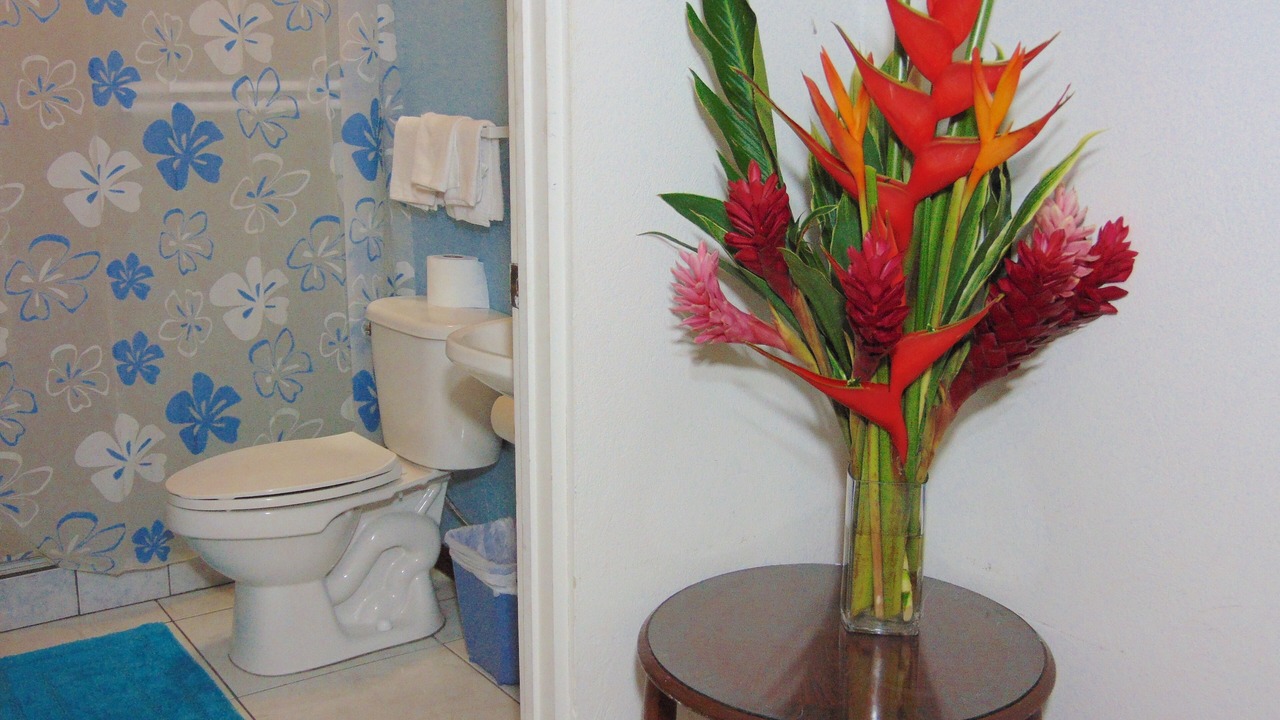 Photo of Bathroom in Pavas