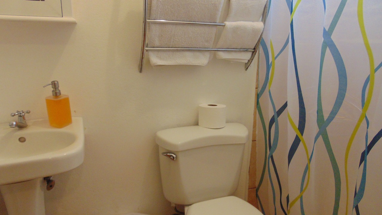 Photo of Bathroom in Pavas
