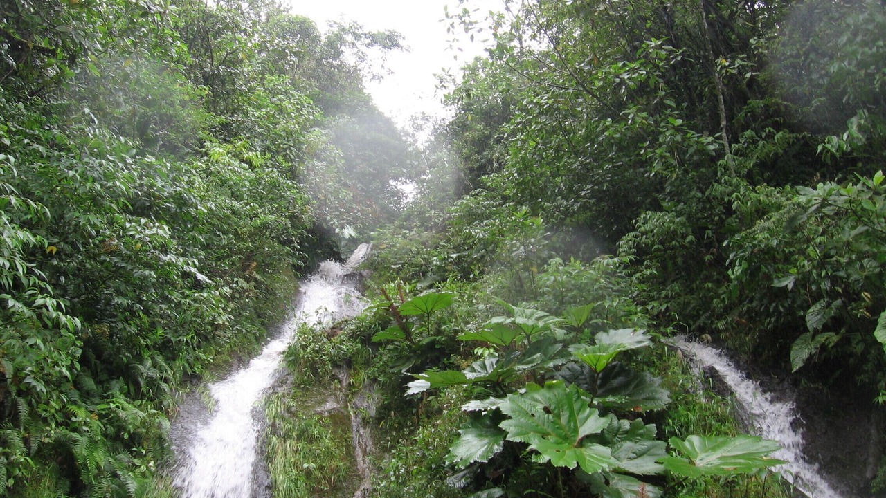 Photo of Outdoor in Cachi