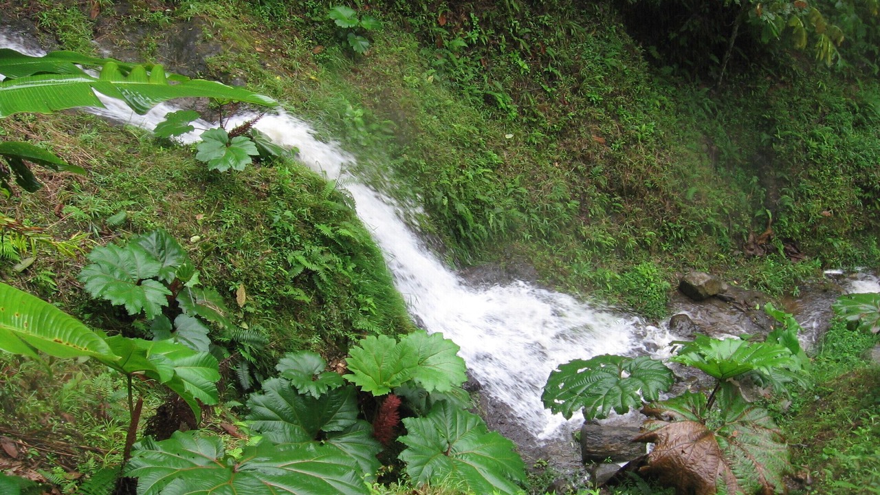 Photo of Outdoor in Cachi