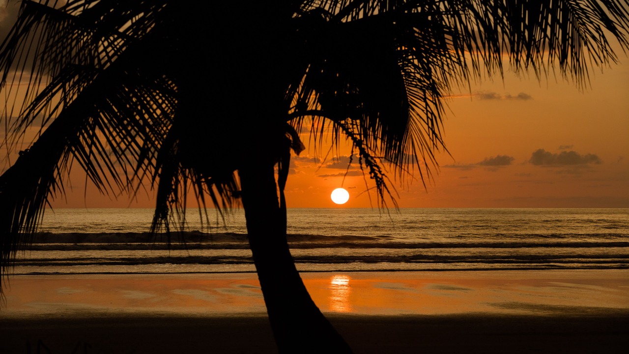Photo of Others in Playa Tortuga