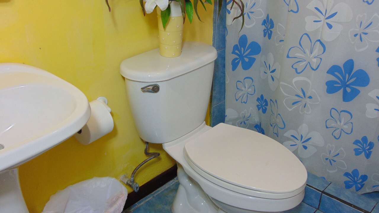 Photo of Bathroom in Pavas