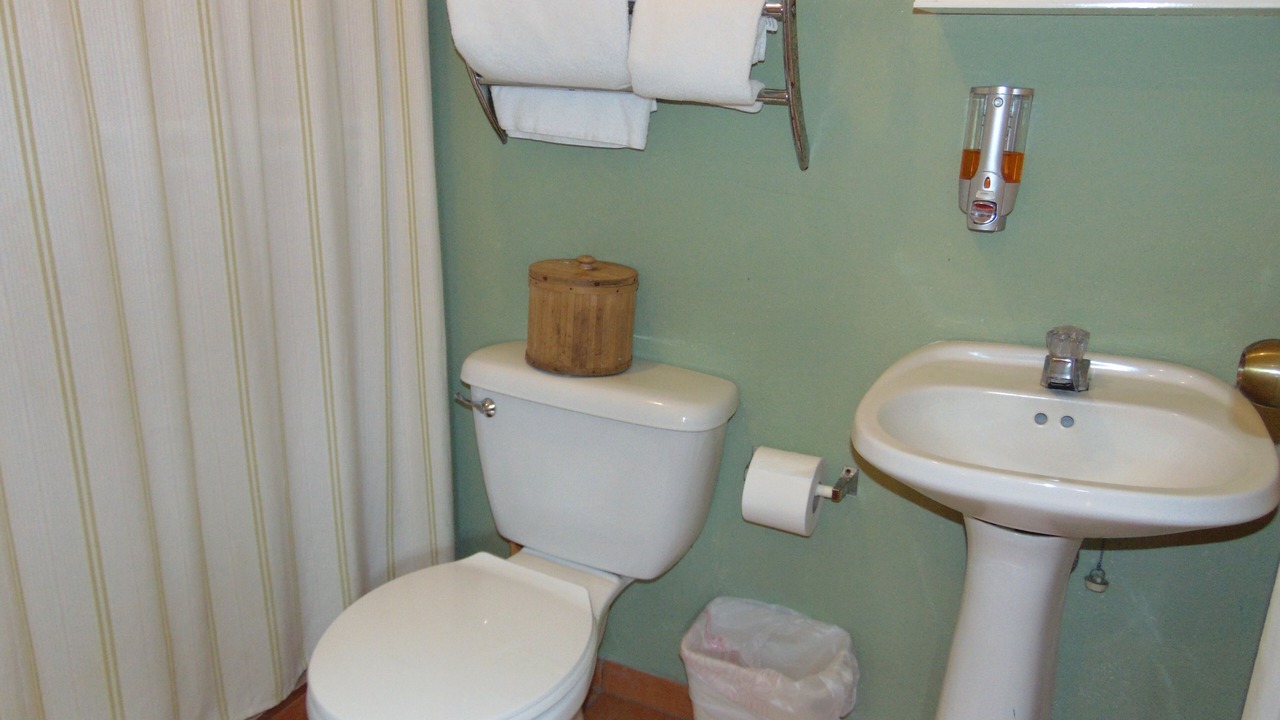 Photo of Bathroom in Pavas
