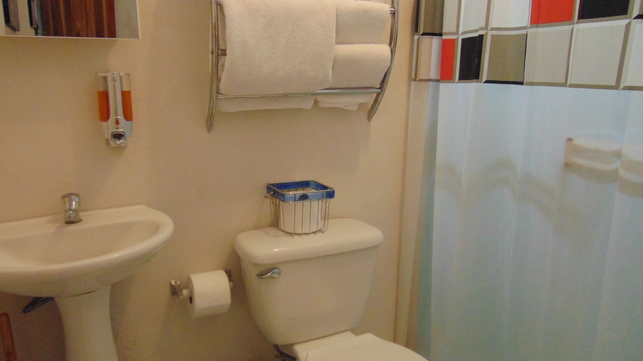 Photo of Bathroom in Pavas