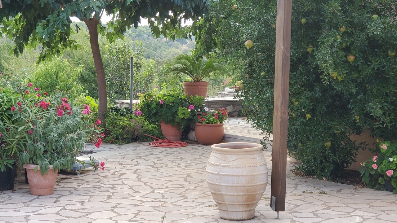 Photo of Outdoor in Fokiano