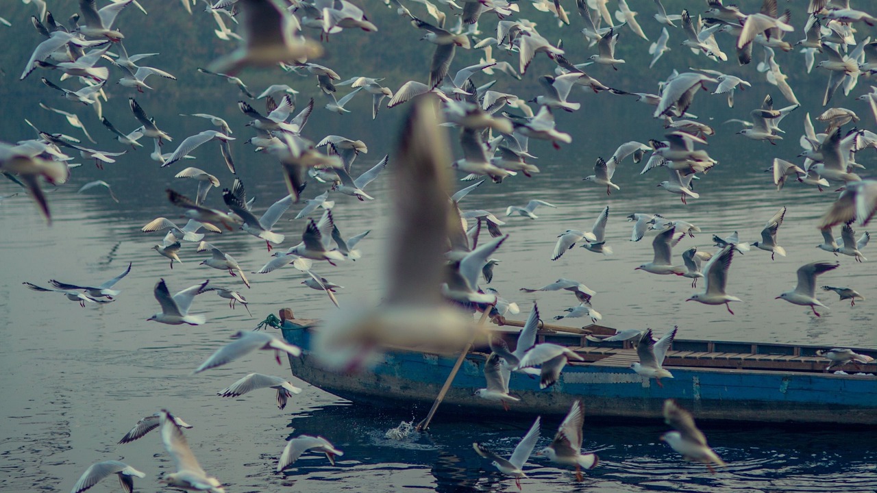 Photo of Others in Sidirochori