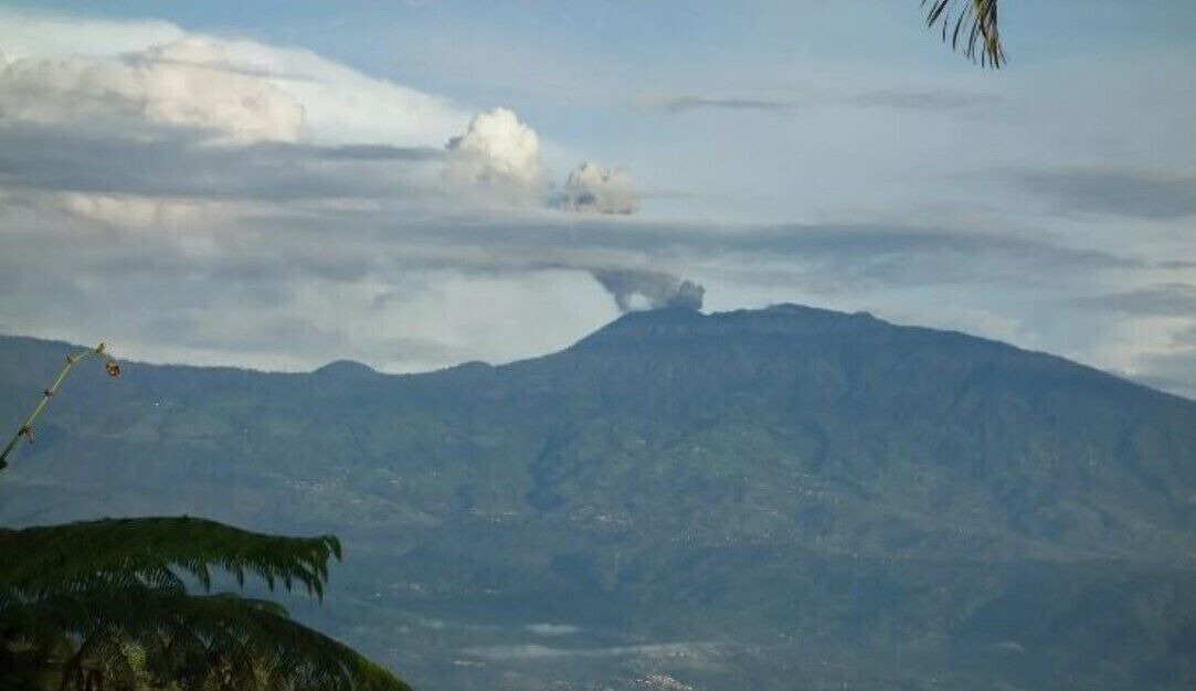 Photo of Others in Turrialba