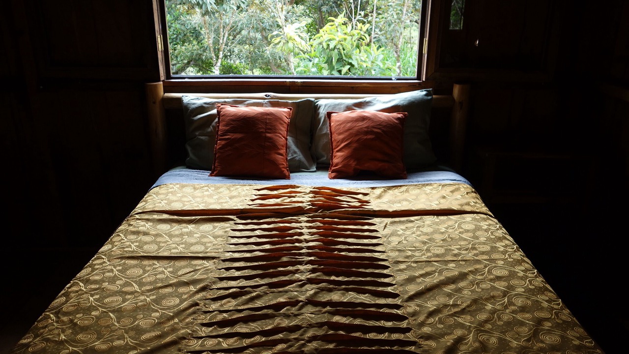 Photo of Bedroom in Turrialba