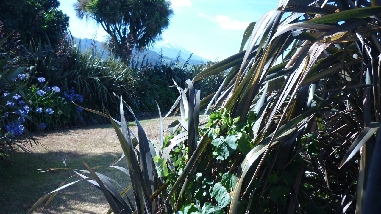 Photo of Outdoor in Tataraimaka