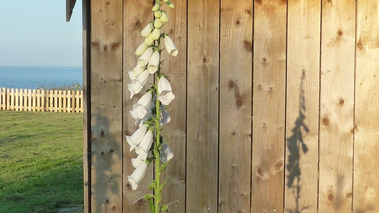 Photo of Outdoor in Aberdeen
