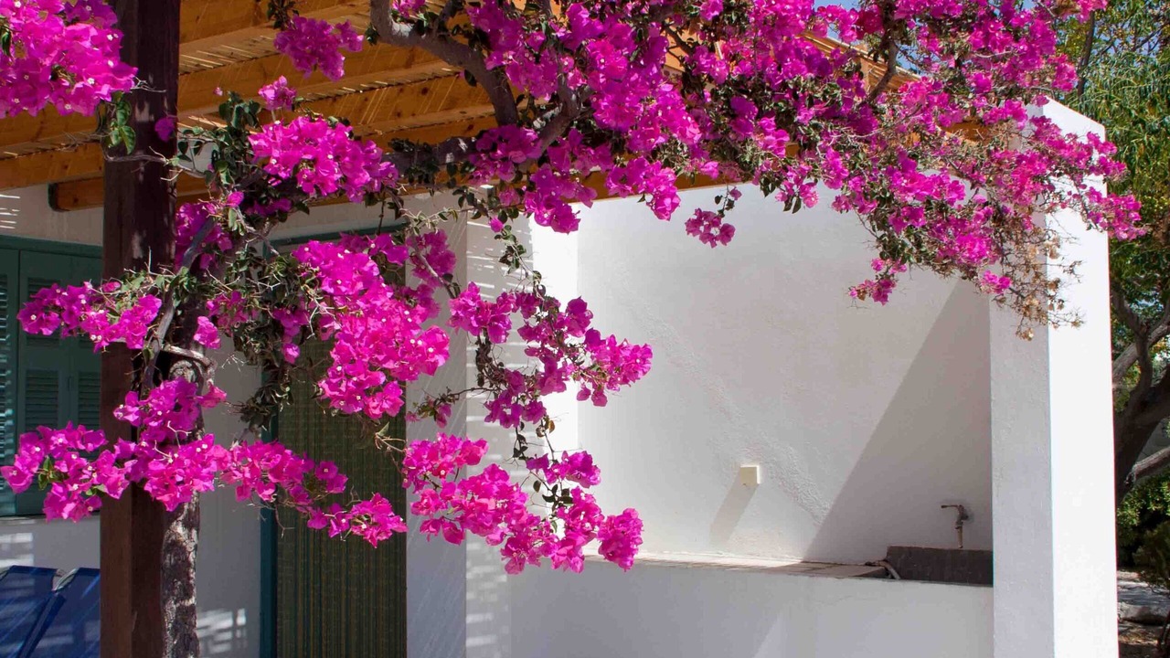 Photo of Outdoor in Zefiria