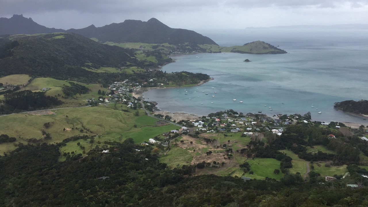 Photo of Outdoor in Whangarei Heads