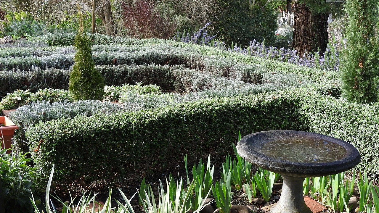 Photo of Outdoor in Waipawa