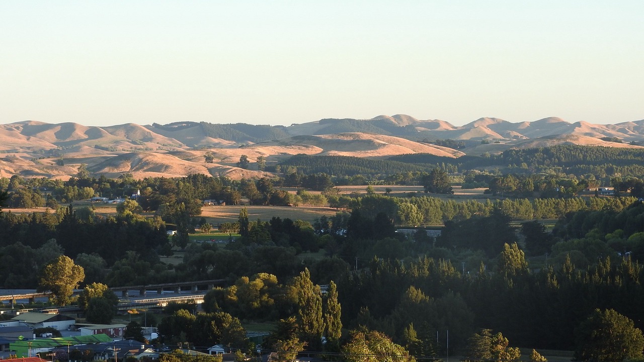 Photo of Others in Waipawa