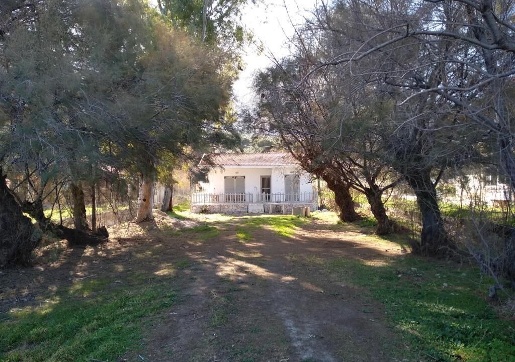 Photo of Outdoor in Phocis Region