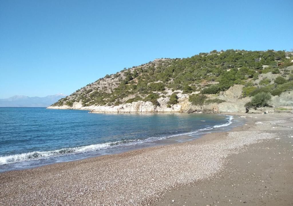 Photo of Others in Phocis Region