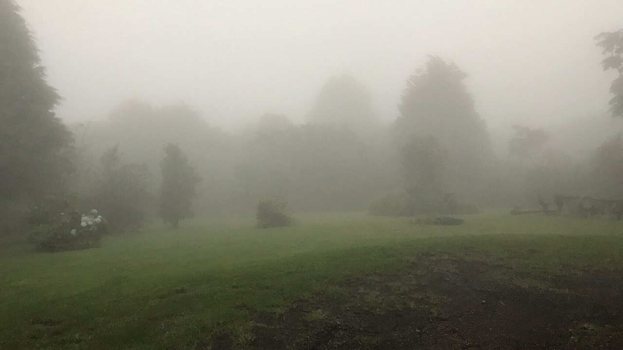 Photo of Outdoor in Roble