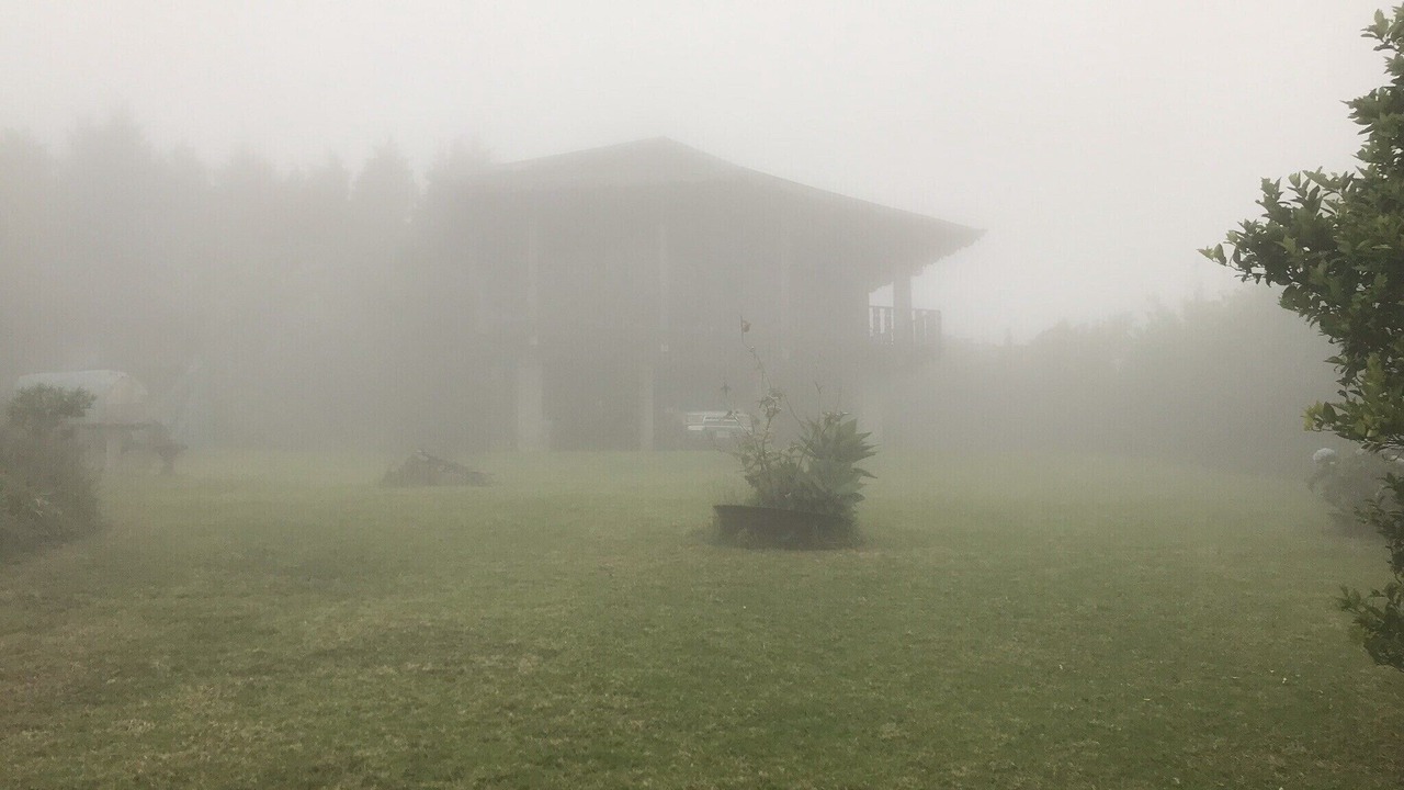 Photo of Outdoor in Roble