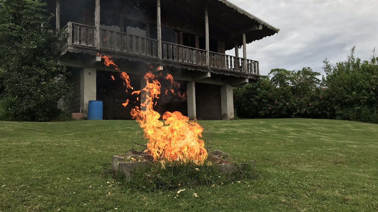 Photo of Outdoor in Roble