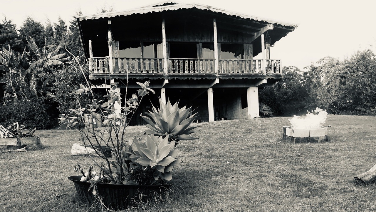 Photo of Outdoor in Roble