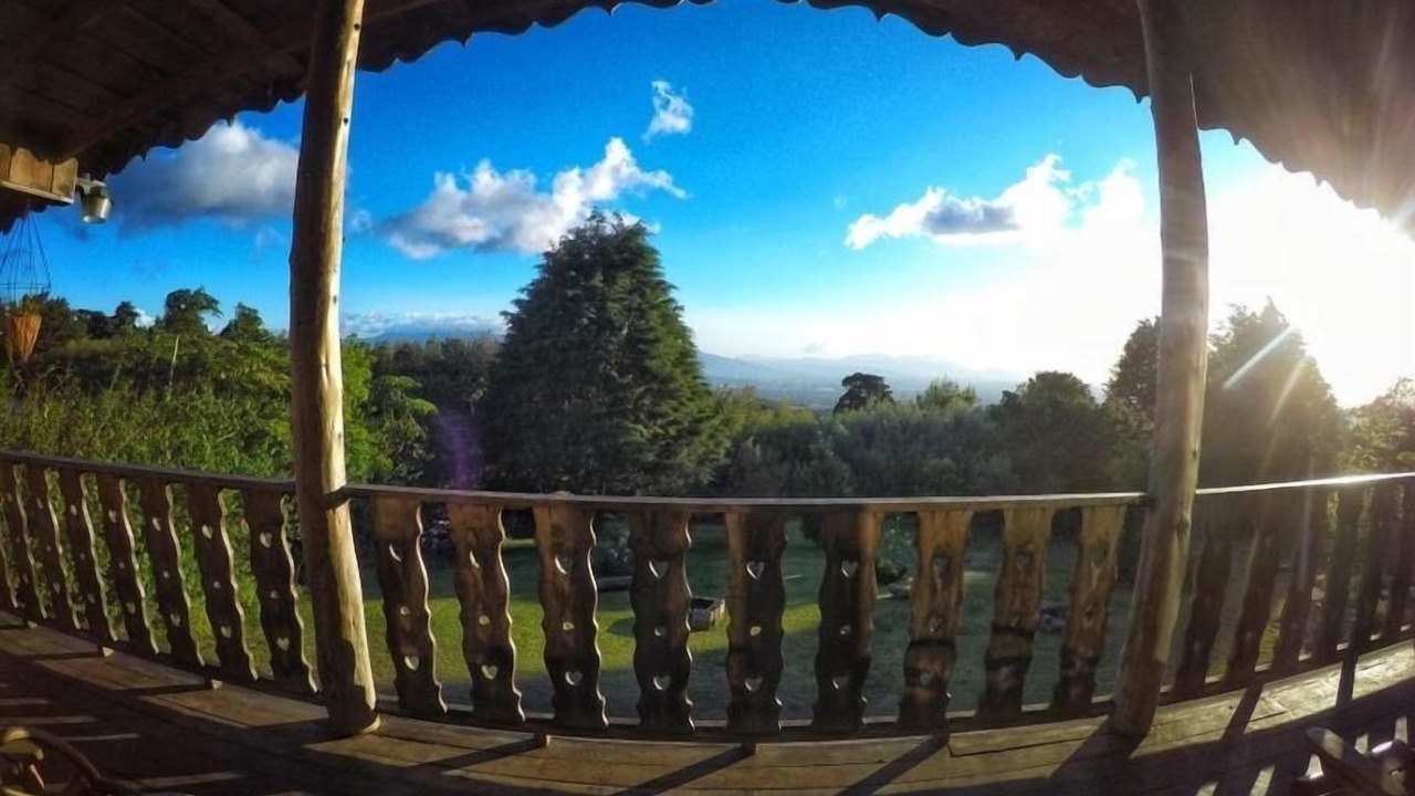 Photo of Patio Balcony in Roble