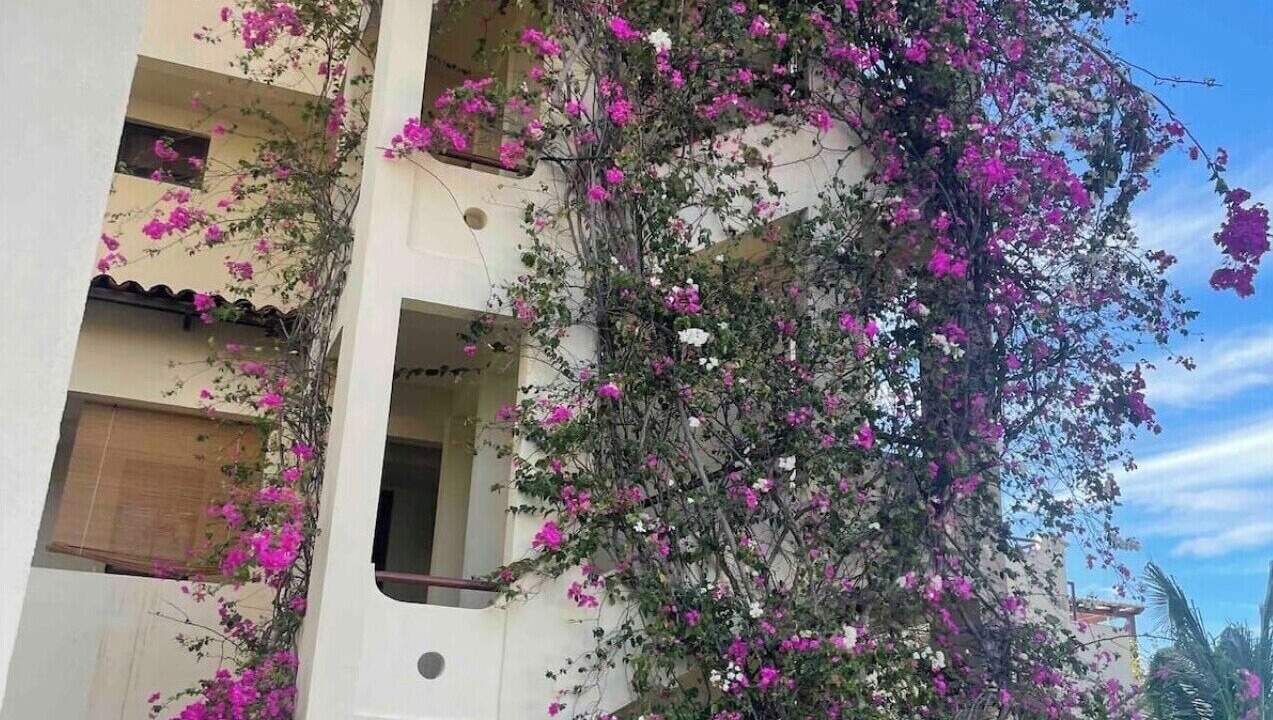 Photo of Outdoor in Coco Sunset Hills