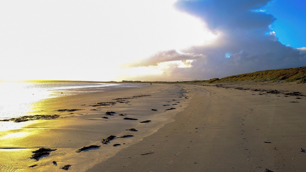 Photo of Others in Stronsay
