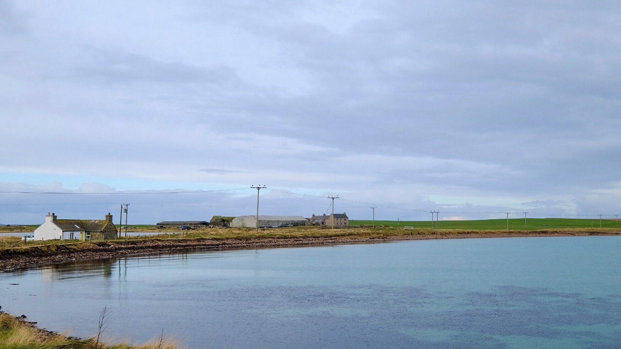 Photo of Others in Stronsay