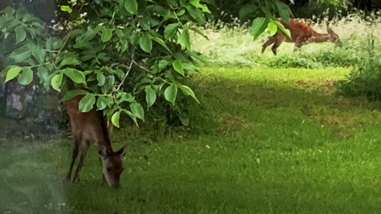 Photo of Others in Evanton