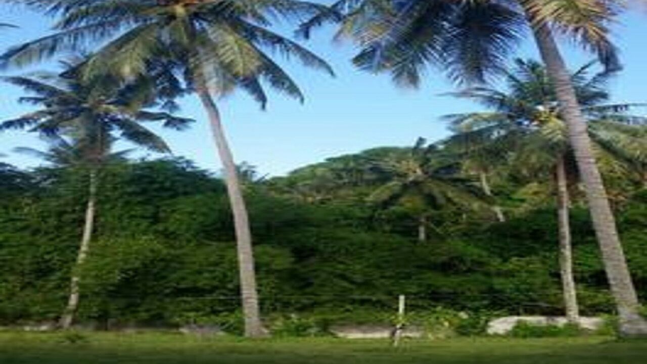 Photo of Outdoor in Senggigi