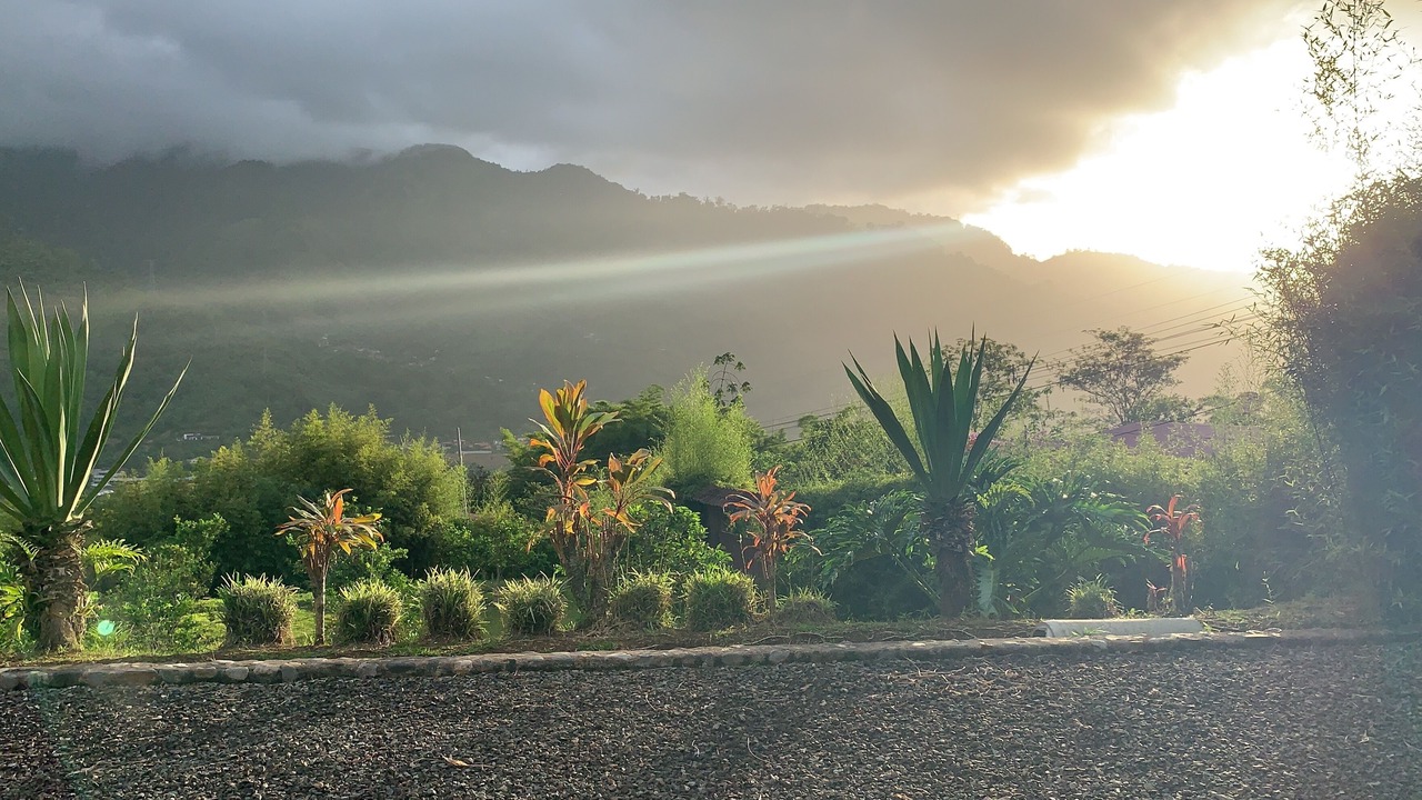 Photo of Outdoor in Orosi