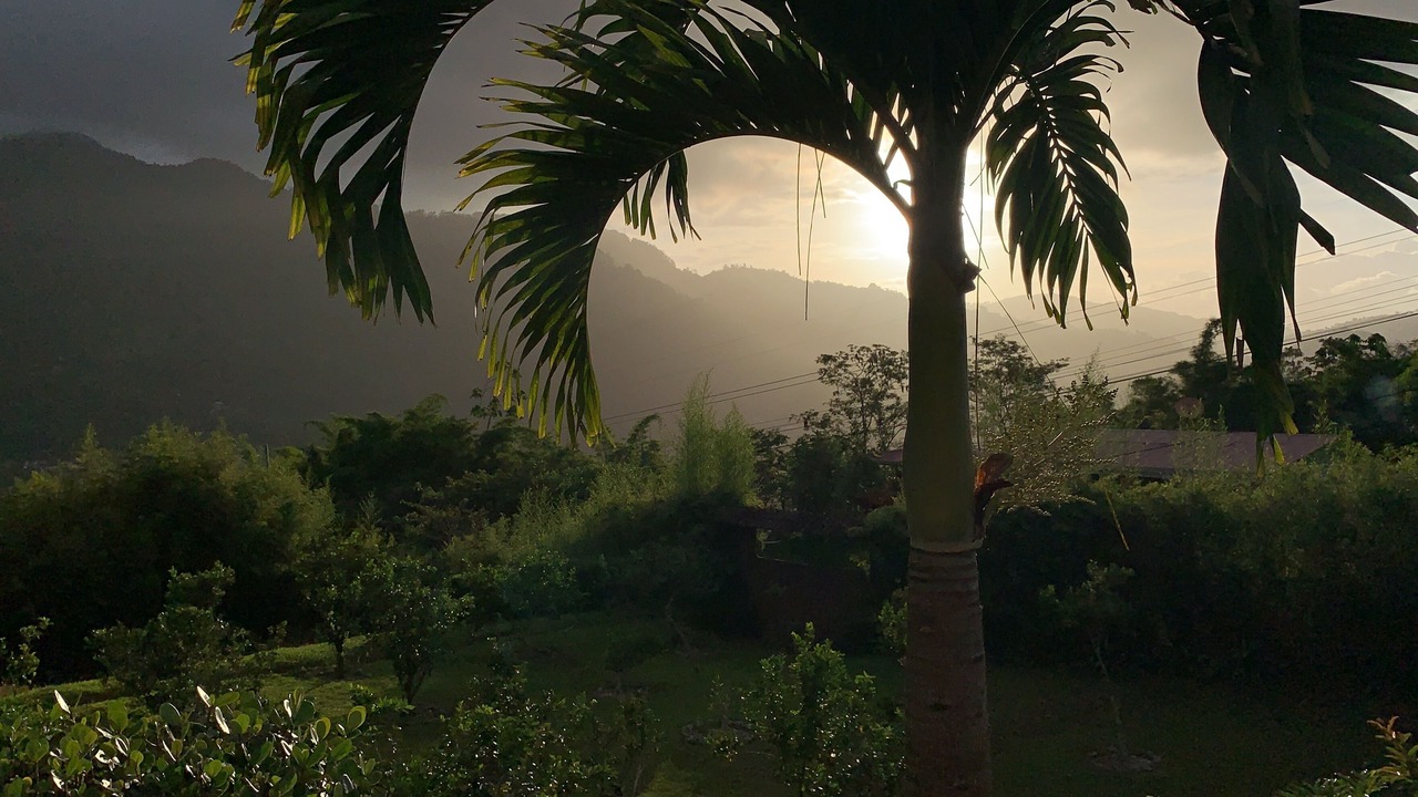 Photo of Outdoor in Orosi