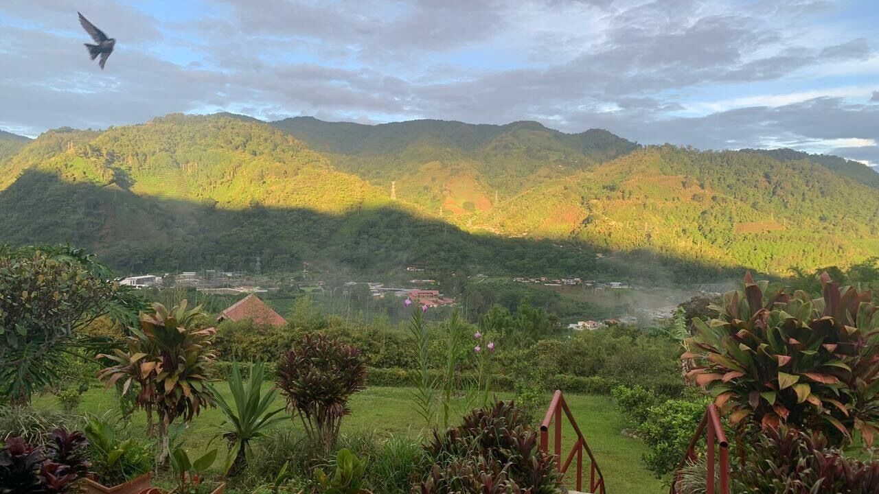 Photo of Outdoor in Orosi