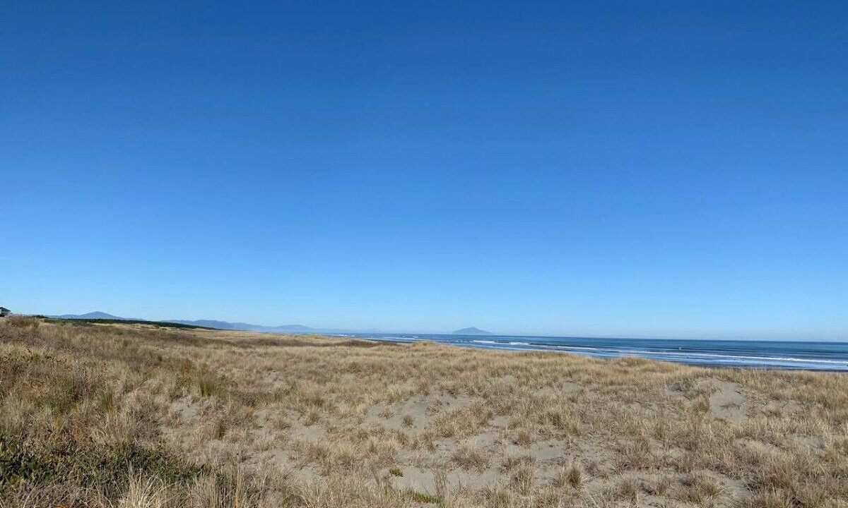 Photo of Others in Waitarere Beach