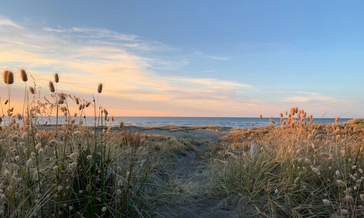 Photo of Others in Waitarere Beach