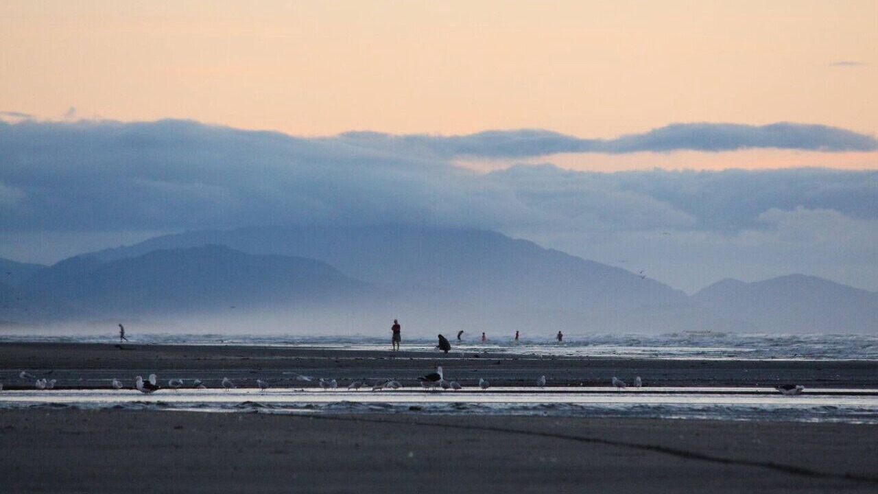Photo of Others in Waitarere Beach