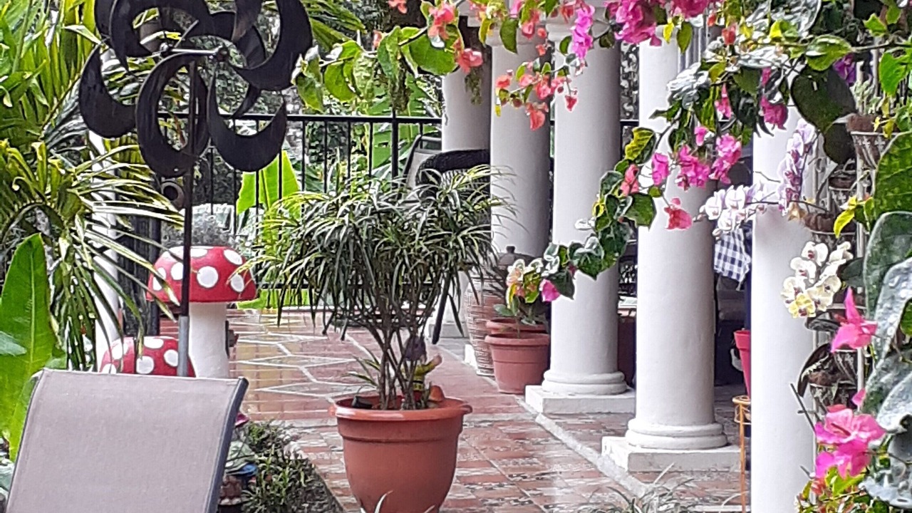Photo of Outdoor in El Millon