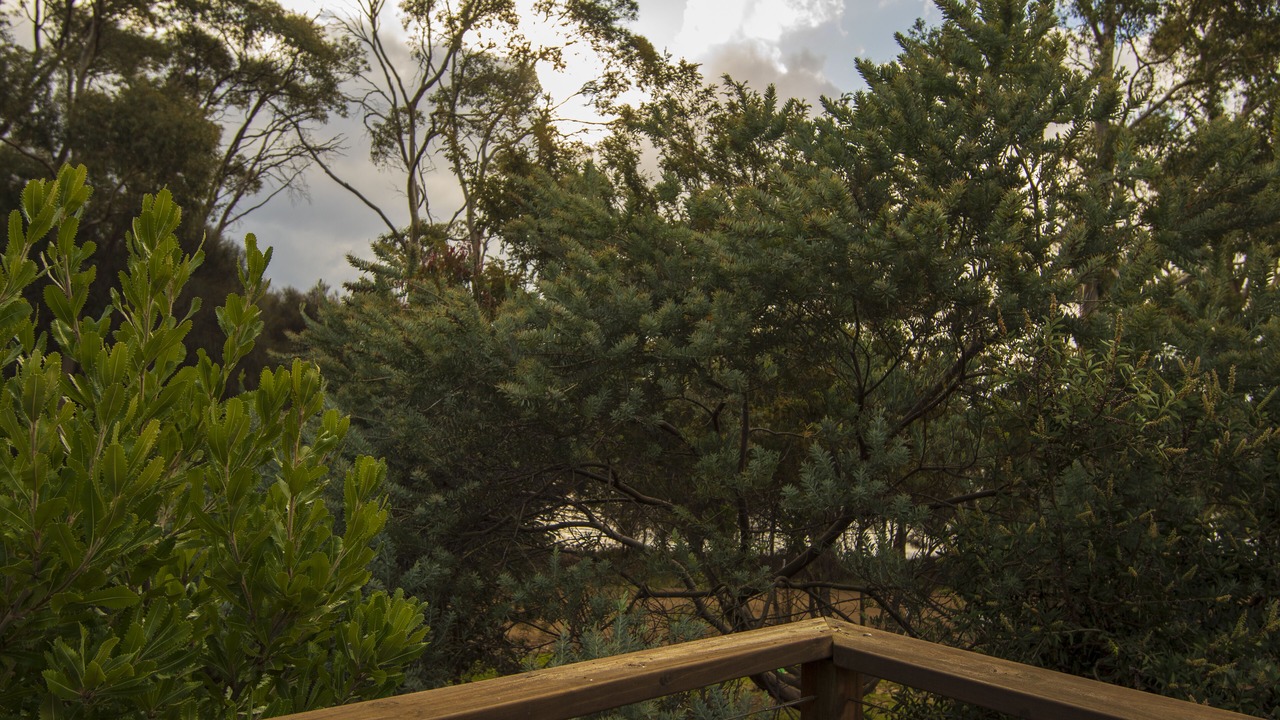 Photo of Outdoor in Lunawanna