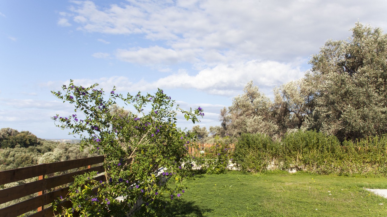 Photo of Outdoor in Krasounas