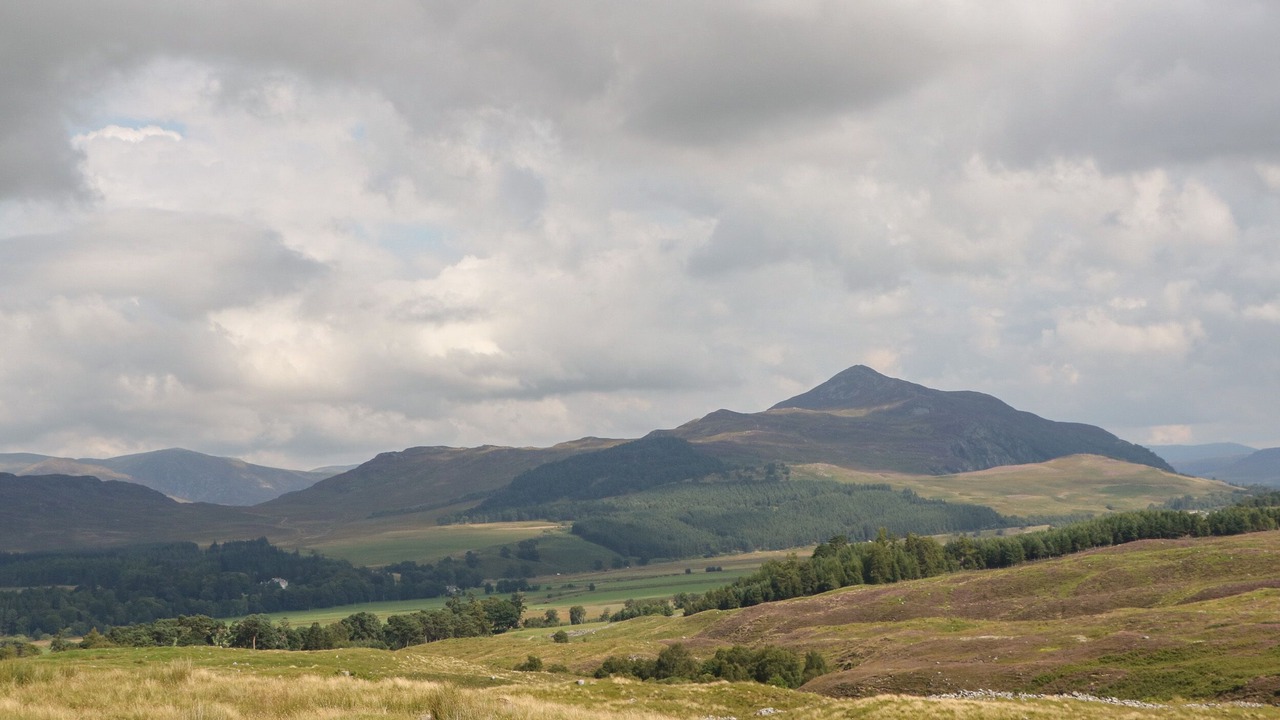 Photo of Others in Newtonmore