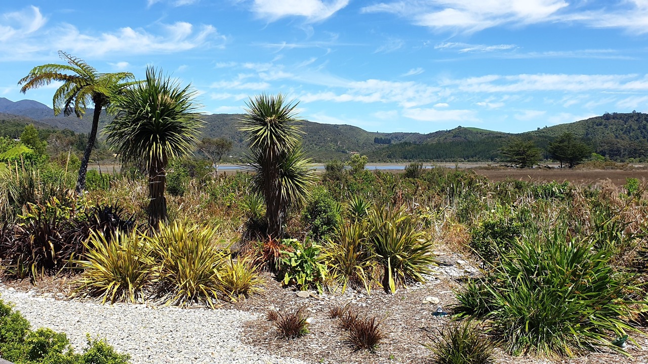 Photo of Outdoor in Parapara
