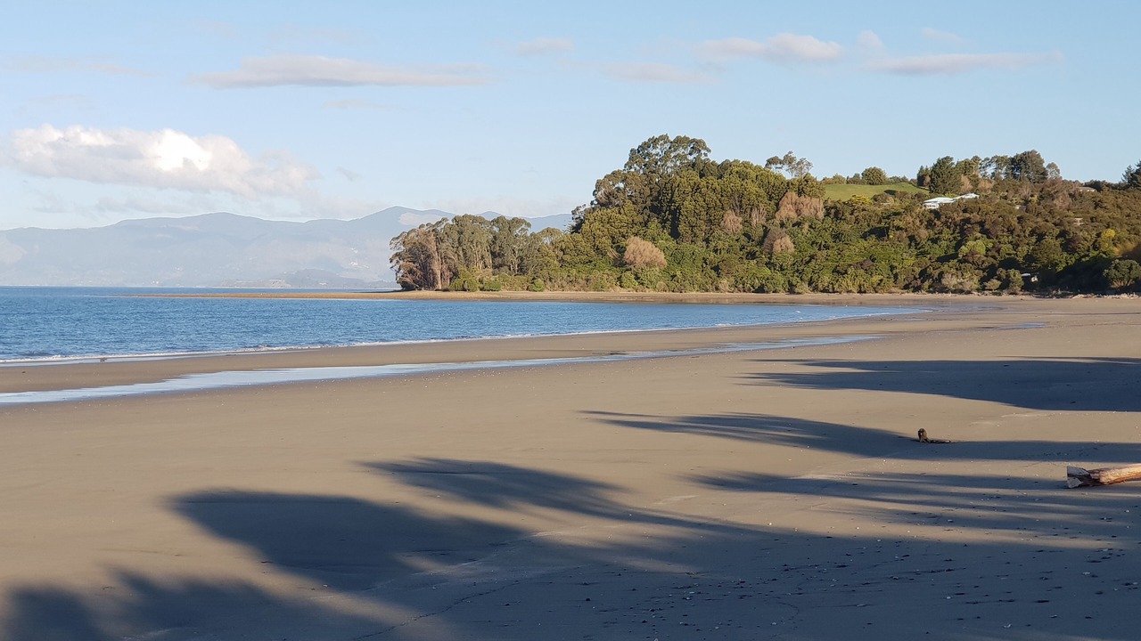 Photo of Others in Parapara