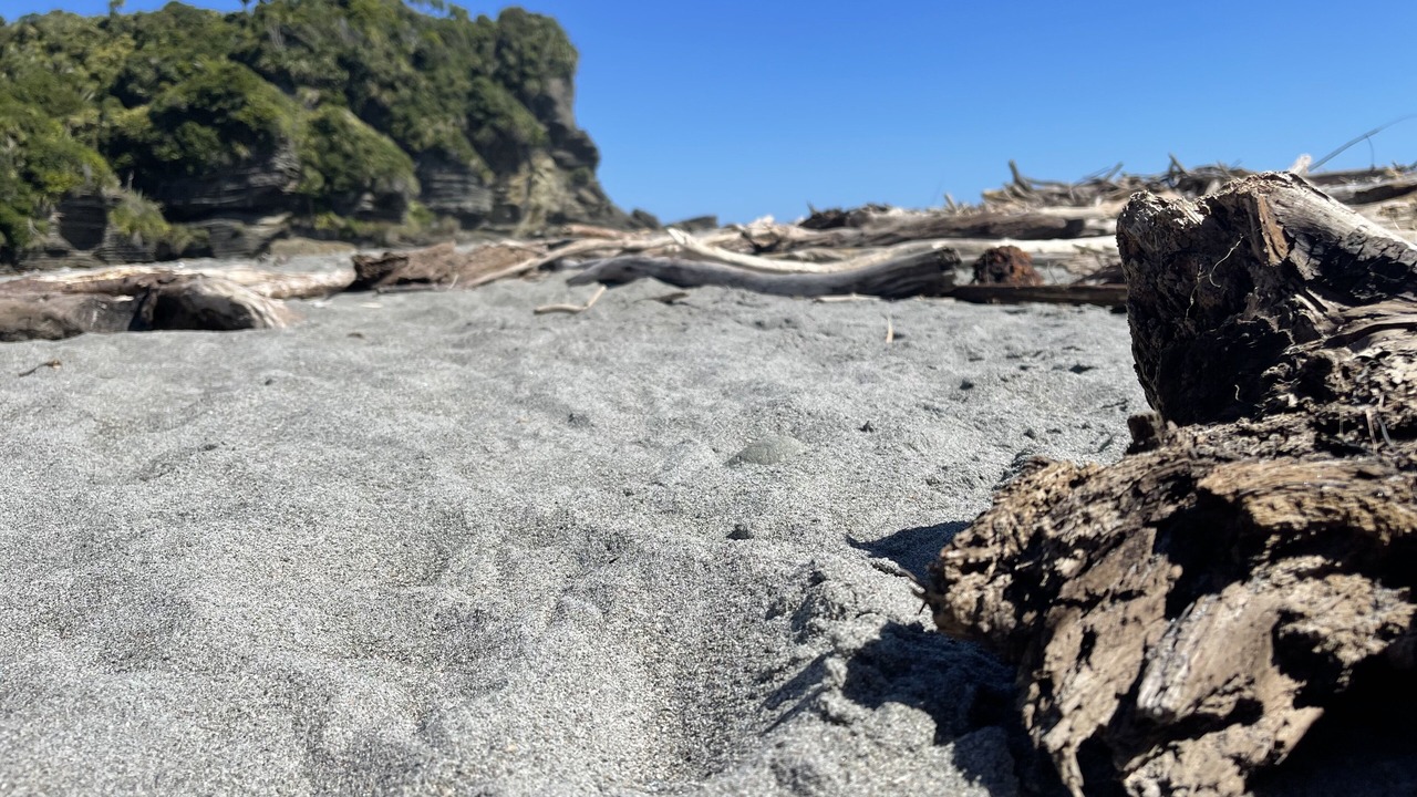 Photo of Others in Punakaiki