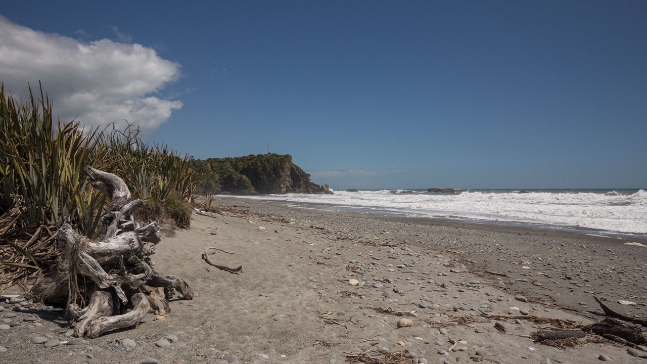Photo of Others in Punakaiki