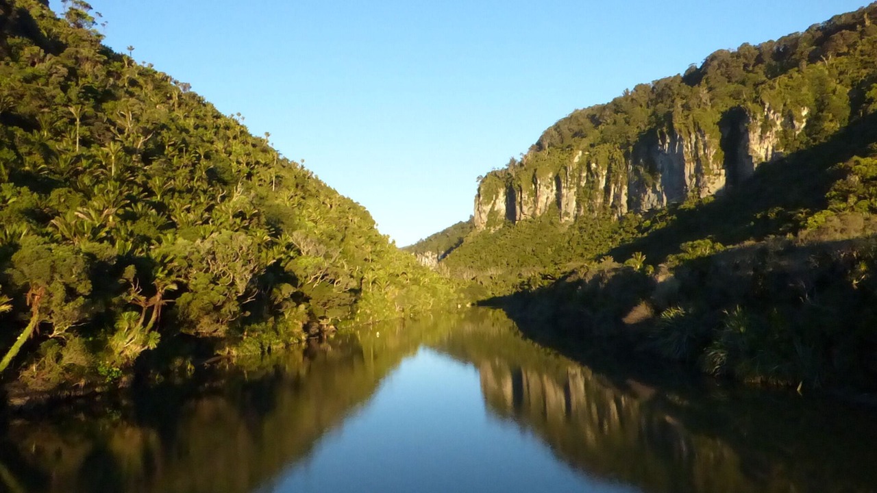 Photo of Others in Punakaiki