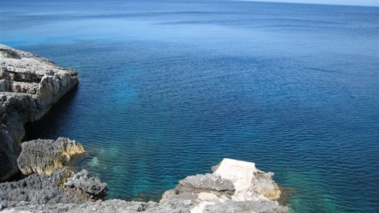 Photo of Others in Korithi